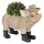 6PR3372 Clayre & Eef Blumentopf Schwein Innenblumentopf 33 x 15 x 24 cm beige Polyresin