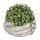 6TE0329L Clayre & Eef Blumentopf Hände Innenblumentopf 18 x 16 x 9 cm beige Stein